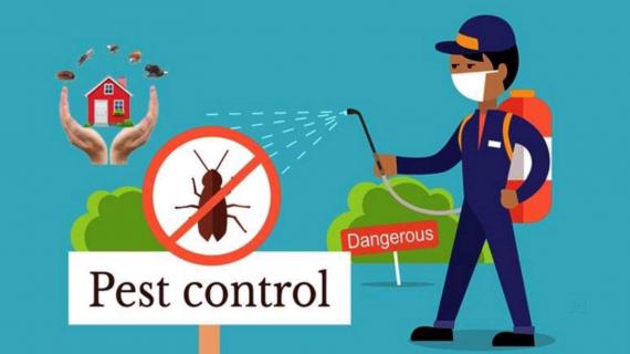 Consistently ahead to finish the Pest: Uber for Pest Control logo