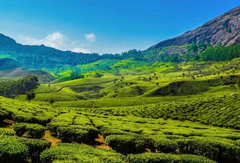 Travel Planner - Startup logo and branding