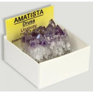 Ametista Drusa Pequena - Startup logo and branding