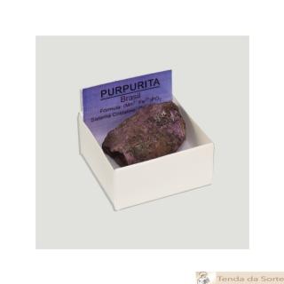 Purpurite - Startup logo and branding