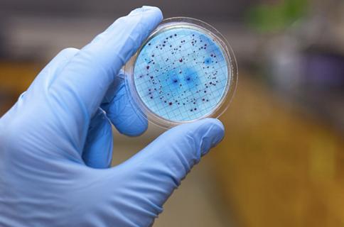 Antimicrobial Coatings Market logo