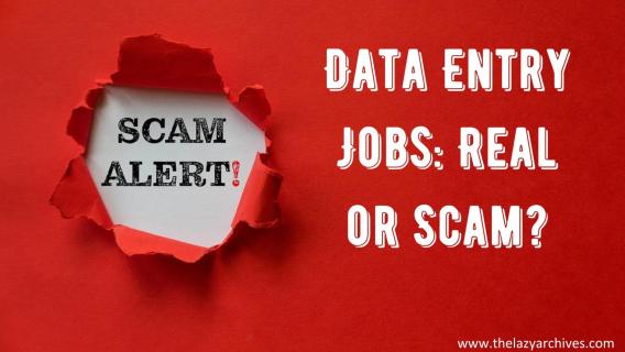 Data Entry Jobs: Are They Legit or Just Scam? - Startup logo and branding