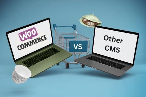 WooCommerce VS Other CMS: Compare The Features and Benefits logo