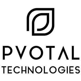 Pvotal Technologies - End-to-end security software developer - Startup logo and branding