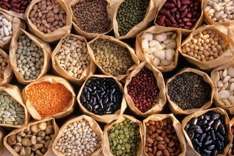 Rising Vegetable Seed Market in US$ 7,255 million in 2022 logo