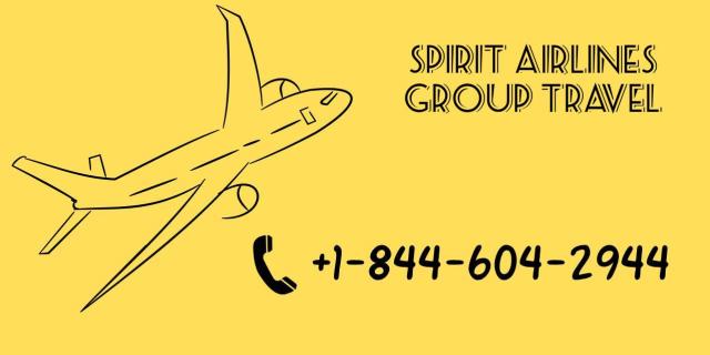 Spirit Airlines Group Booking logo