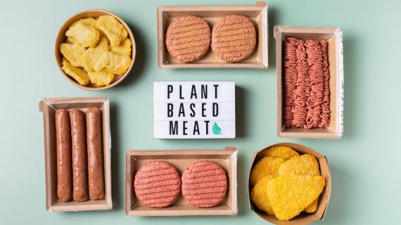 Largest segment growth of the global Plant Based Meat Market logo