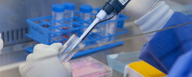 Growth of Tissue Engineering Market logo