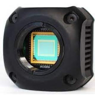 Ingaas Camera Market - Startup logo and branding