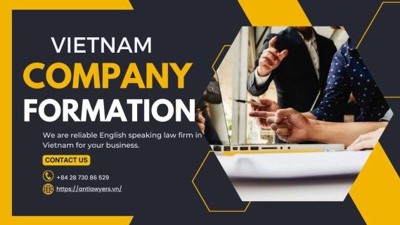 Vietnam Company Formation. How to proceed? logo