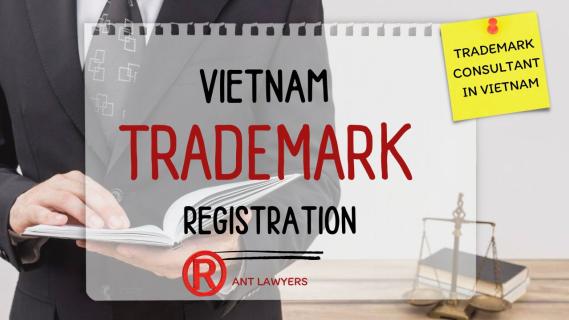 Vietnam Trademark Registration to Protect IP Rights logo