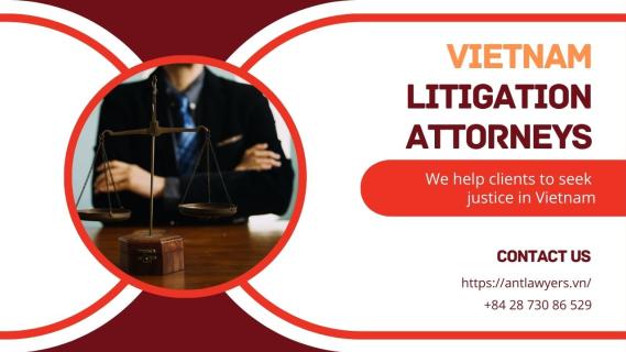Fight for Justice: Role of Litigation Attorneys in Vietnam logo
