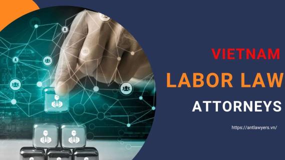 Why You Might Need Labor Law Attorneys in Vietnam in 9 Situations? logo