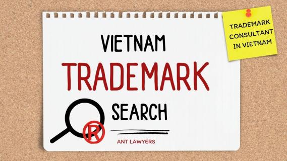 Trademark Search in Vietnam: What 5 Steps to Conduct? logo