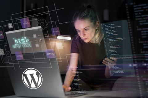 5 Steps to Develop a WordPress Plugin From Scratch logo