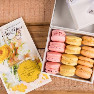 CREATIVE PRODUCT PHOTOSHOOTS - Startup logo and branding