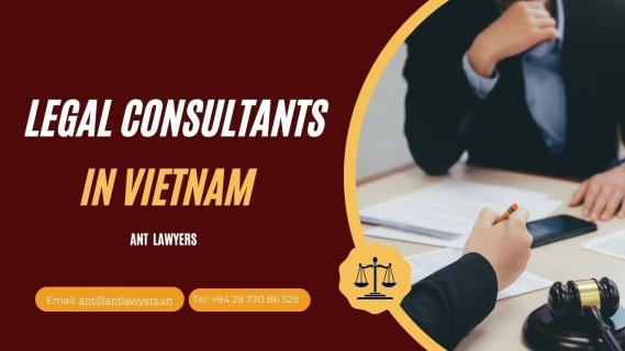 Enhancing Legal Services: The Role of Legal Consultants in Vietnam logo