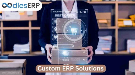 Custom ERP Solutions For The Consumer Goods Industry logo