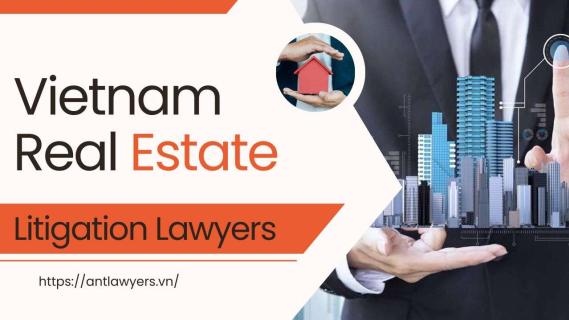 Real Estate Litigation Lawyers in Vietnam: Navigate Complexities logo