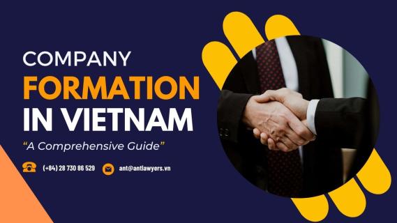 Company Formation in Vietnam: A Comprehensive Guide logo