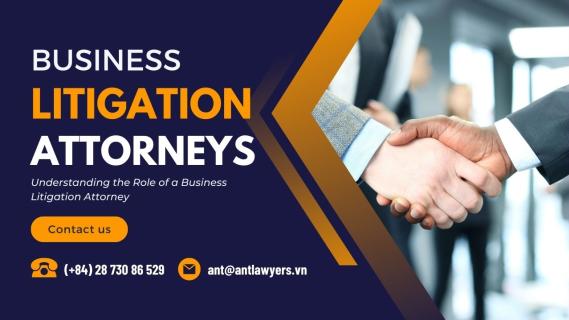https://antlawyers.vn/update/role-of-a-business-litigation-attorney.html logo