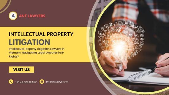Intellectual Property Litigation Lawyers in Vietnam: Navigating Legal Disputes in IP Rights? logo
