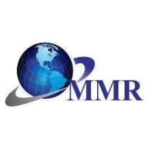 Healthcare 3D Printing Market Report Based on Development, Scope, Share 2029 logo