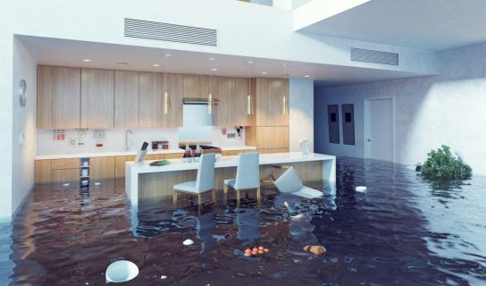 Best Services of Water Damage Restoration logo