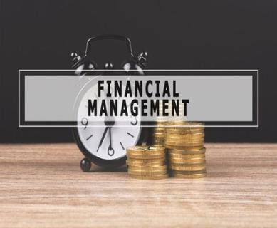 Streamline Your Finance Management Software with Genius Edusoft logo