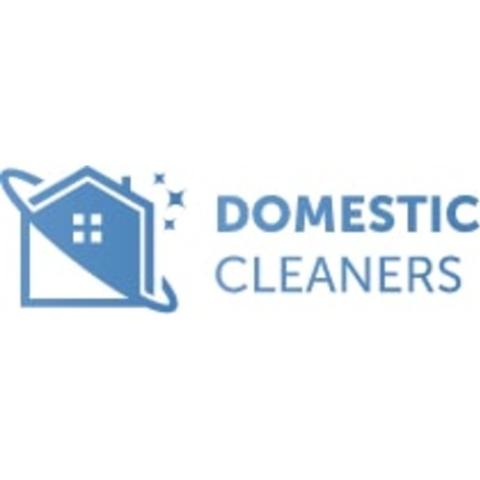 Star Domestic Cleaners Bromley logo