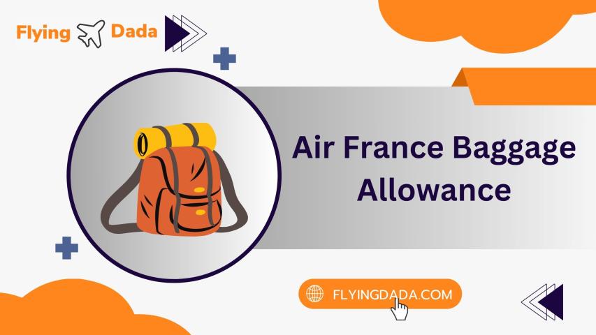 Understanding Air France Baggage Allowance: A Comprehensive Guide logo