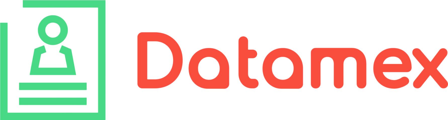 Datamex logo