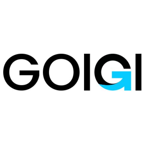 GOIGI logo