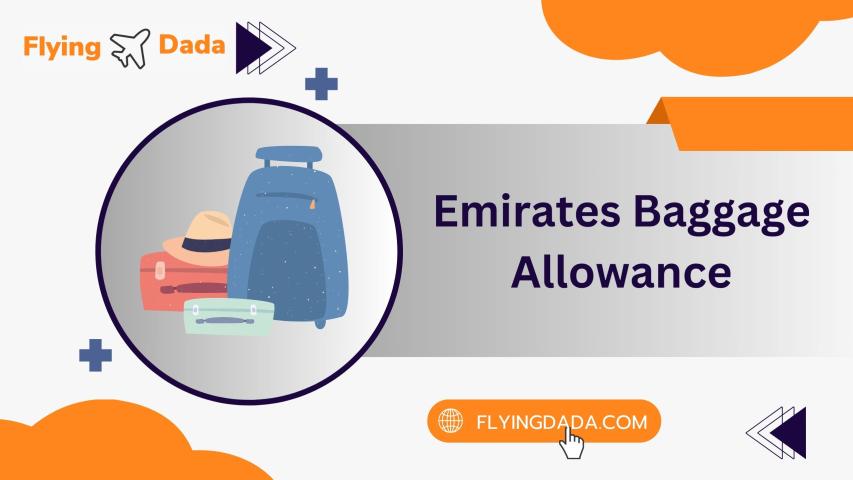 Understanding Emirates Baggage Allowance: A Complete Guide logo