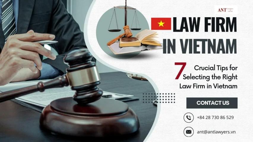 7 Crucial Tips for Selecting the Right Law Firm in Vietnam logo