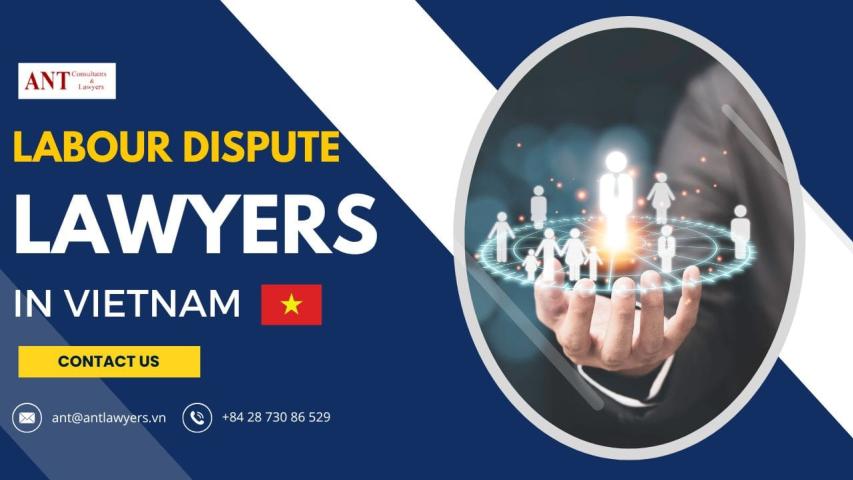 10 Things Foreign Employees Should Know: Insight from Labour Dispute Lawyers in Vietnam logo