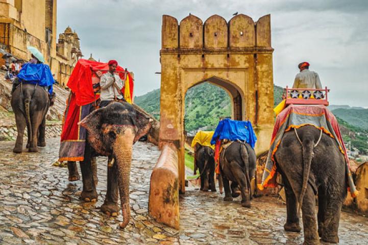 Delhi Agra Jaipur Tour Packages logo