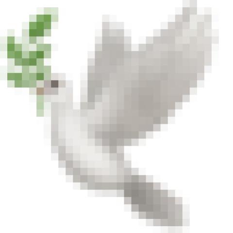 Scopebird logo