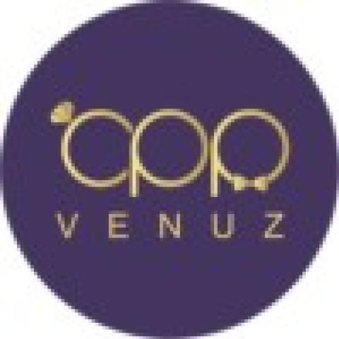 The Rise and Impact of the Punjabi Film and Music Industry logo
