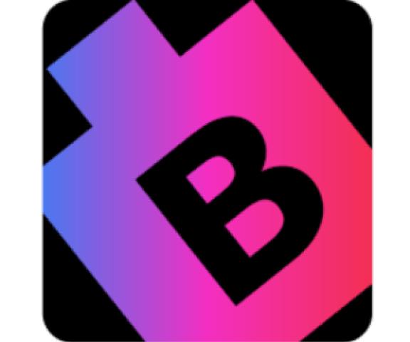 BitsWits New York - Mobile App Development Company logo