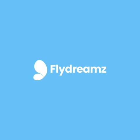 flydreamz logo
