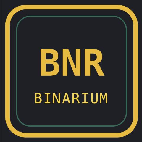 Binarium - Startup logo and branding