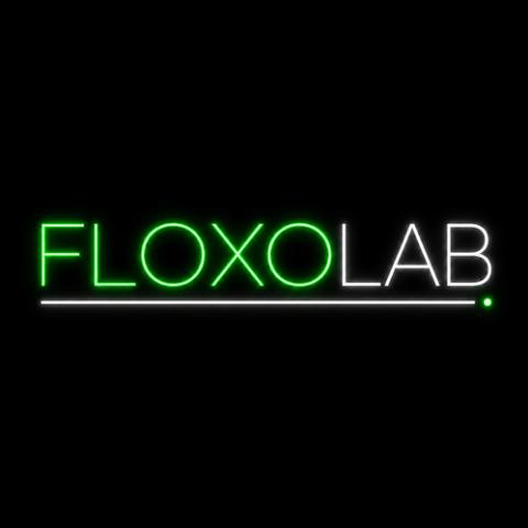 FloxoLab - Startup logo and branding