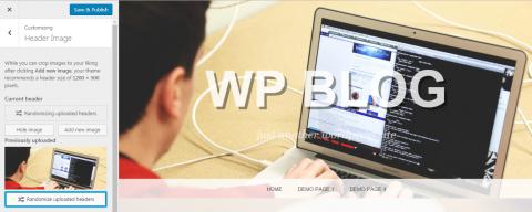 Easily Create A Portfolio Website on WordPress logo