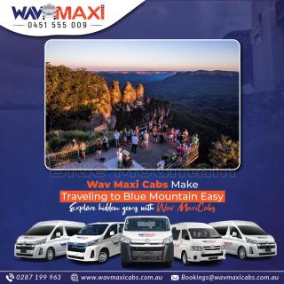 Maxi Taxi Sydney logo