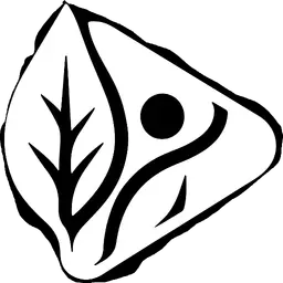 AI UGC Video Generator: Create High-Converting Ads